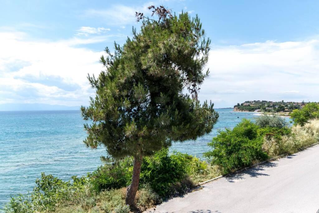 Seafront 2 Bedrooms Apartment Nea Irakleia Extérieur photo